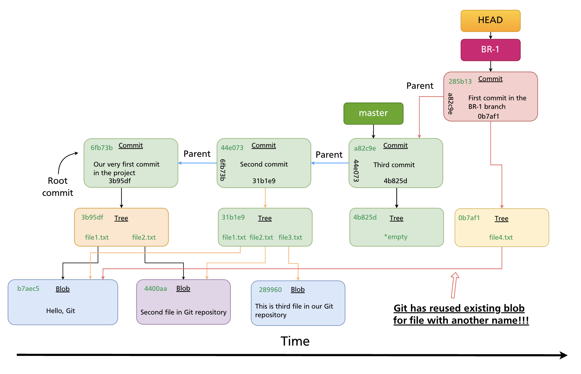 Git reuses the same blob object when a file with the same content appears in multiple branches